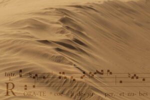 Picture showing dunes in the desert with footprints. Symbol of Stefan Bodemann's organ composition on the Gregorian chant rorate coeli desuper. The melody is partially shown in the picture.